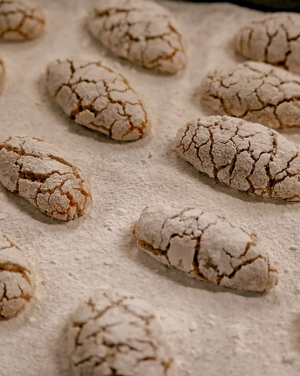 Laboratorio di Ricciarelli